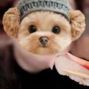 ヒメ日記 2025/11/30 22:50 投稿 優美 三浦屋別館