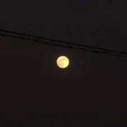 ヒメ日記 2025/12/04 23:46 投稿 優美 三浦屋別館