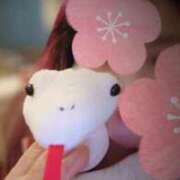 ヒメ日記 2025/12/22 07:26 投稿 優美 三浦屋別館