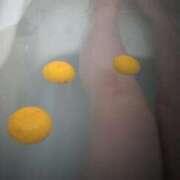 ヒメ日記 2025/12/23 07:18 投稿 優美 三浦屋別館