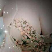 ヒメ日記 2025/12/27 00:16 投稿 優美 三浦屋別館