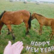 ヒメ日記 2026/01/01 08:20 投稿 優美 三浦屋別館