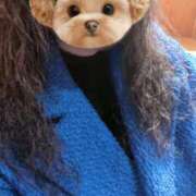 ヒメ日記 2026/01/03 13:36 投稿 優美 三浦屋別館