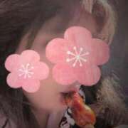 ヒメ日記 2026/01/04 07:56 投稿 優美 三浦屋別館