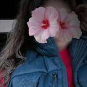 ヒメ日記 2026/01/09 16:47 投稿 優美 三浦屋別館