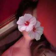 ヒメ日記 2026/01/21 05:46 投稿 優美 三浦屋別館