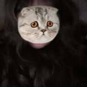 ヒメ日記 2026/01/21 18:26 投稿 優美 三浦屋別館