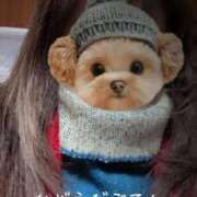 ヒメ日記 2026/01/30 17:09 投稿 優美 三浦屋別館