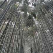 ヒメ日記 2026/02/08 15:26 投稿 優美 三浦屋別館