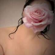 ヒメ日記 2026/02/25 07:56 投稿 優美 三浦屋別館