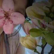 ヒメ日記 2026/03/14 17:46 投稿 優美 三浦屋別館