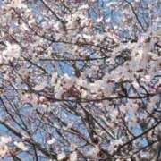 ヒメ日記 2026/03/15 13:06 投稿 優美 三浦屋別館