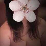 ヒメ日記 2026/03/27 23:19 投稿 優美 三浦屋別館