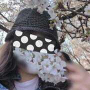 ヒメ日記 2026/03/29 17:46 投稿 優美 三浦屋別館