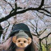 ヒメ日記 2026/03/29 23:36 投稿 優美 三浦屋別館