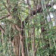 ヒメ日記 2026/07/25 16:06 投稿 優美 三浦屋別館