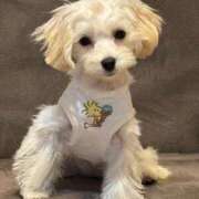 ヒメ日記 2025/12/18 23:30 投稿 ゆう 三浦屋別館