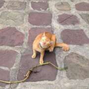 ヒメ日記 2025/01/19 17:26 投稿 石井女医[看護主任] 病院