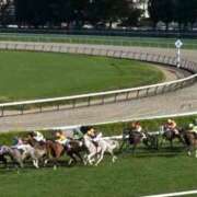 ヒメ日記 2025/02/06 14:08 投稿 石井女医[看護主任] 病院