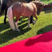 ヒメ日記 2025/02/09 14:26 投稿 石井女医[看護主任] 病院