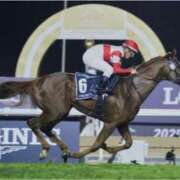 ヒメ日記 2025/04/07 16:36 投稿 石井女医[看護主任] 病院