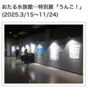 ヒメ日記 2025/04/13 12:56 投稿 石井女医[看護主任] 病院