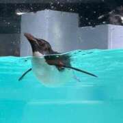 ヒメ日記 2025/07/31 16:46 投稿 石井女医[看護主任] 病院