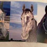 ヒメ日記 2025/08/17 12:26 投稿 石井女医[看護主任] 病院