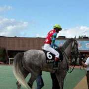 ヒメ日記 2025/09/14 12:17 投稿 石井女医[看護主任] 病院