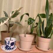 ヒメ日記 2025/10/05 13:26 投稿 石井女医[看護主任] 病院