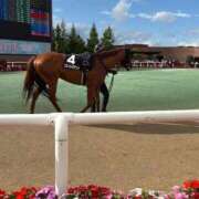 ヒメ日記 2025/11/02 12:46 投稿 石井女医[看護主任] 病院