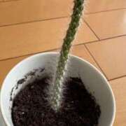 ヒメ日記 2025/11/06 18:16 投稿 石井女医[看護主任] 病院