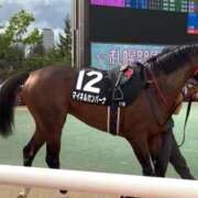 石井女医[看護主任] フェブラリーS、小倉大賞典 病院