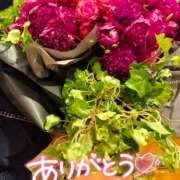 ヒメ日記 2025/02/12 13:01 投稿 みのり あけみ