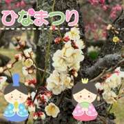 ヒメ日記 2025/03/03 09:22 投稿 みのり あけみ