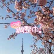 ヒメ日記 2025/03/04 09:28 投稿 みのり あけみ