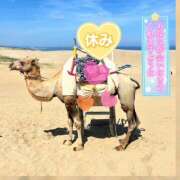 ヒメ日記 2025/08/21 09:21 投稿 みのり あけみ