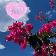 ヒメ日記 2025/08/28 10:17 投稿 みのり あけみ