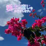 ヒメ日記 2025/09/24 12:37 投稿 みのり あけみ