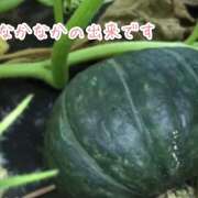 ヒメ日記 2025/10/03 15:36 投稿 みのり あけみ