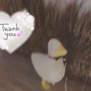 ヒメ日記 2025/11/18 22:26 投稿 みのり あけみ