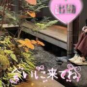 ヒメ日記 2025/12/29 10:37 投稿 みのり あけみ