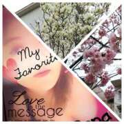 ヒメ日記 2026/03/10 07:56 投稿 れな 三浦屋別館