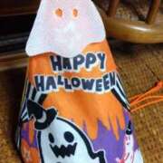 ヒメ日記 2025/10/31 17:18 投稿 ひなの 三浦屋別館