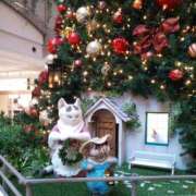 ヒメ日記 2025/12/25 09:31 投稿 ひなの 三浦屋別館