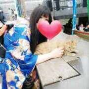 ヒメ日記 2026/01/03 09:30 投稿 ひなの 三浦屋別館