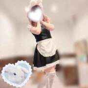 ヒメ日記 2025/03/22 13:45 投稿 せれな アリスカフェ