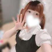 ヒメ日記 2025/04/26 10:20 投稿 せれな アリスカフェ