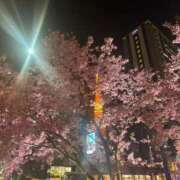 ヒメ日記 2025/03/15 22:29 投稿 いずみ G-SCANDAL