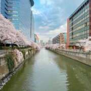 ヒメ日記 2025/04/19 23:59 投稿 いずみ G-SCANDAL